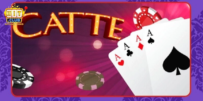 Catte - Hướng Dẫn Chơi Chi Tiết Và Mẹo Cược Cho Tân Binh